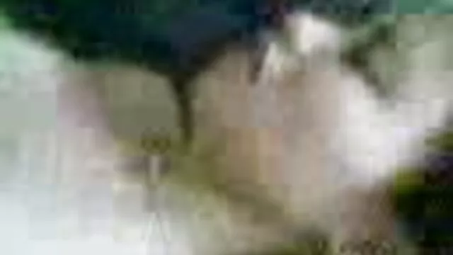 مركز اتصال سكس محارم اجنبى دريم مع Busty Bosslady