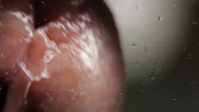 أبيجيل ماك هوس سيكس اجنبي محارم باللياقة والجنس