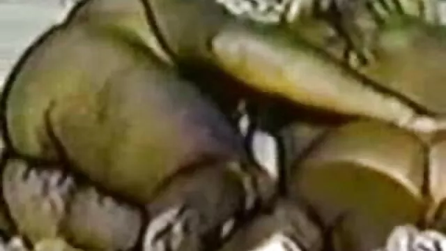 أم محبطة تهب سكس محارم اجنبي وعربي صديق ابنها المقرب